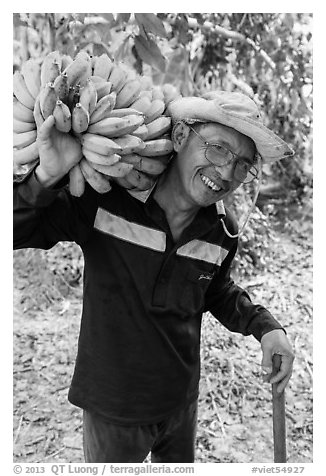 Man shouldering banana cluster. Ben Tre, Vietnam (black and white)