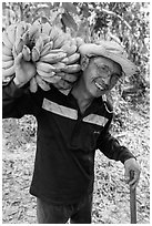 Man shouldering banana cluster. Ben Tre, Vietnam (black and white)