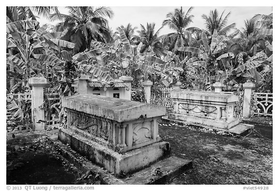 Graves in banana tree plantation. Ben Tre, Vietnam (black and white)