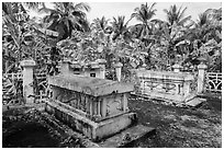 Graves in banana tree plantation. Ben Tre, Vietnam (black and white)