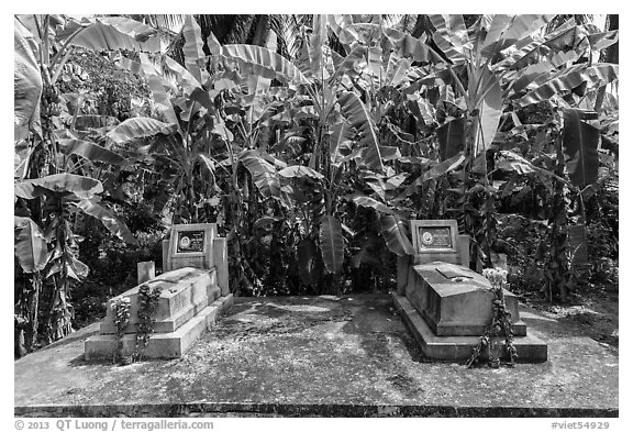 Tombs and banana trees. Ben Tre, Vietnam (black and white)
