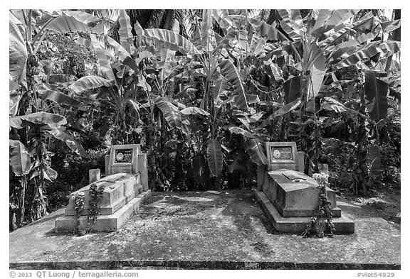 Tombs and banana trees. Ben Tre, Vietnam