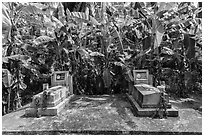 Tombs and banana trees. Ben Tre, Vietnam (black and white)