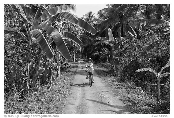 Woman bicycling on narrow road surrounded by banana trees. Ben Tre, Vietnam