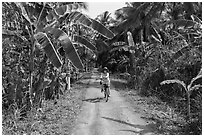 Woman bicycling on narrow road surrounded by banana trees. Ben Tre, Vietnam (black and white)