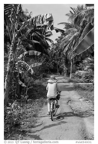 Bicyclist on rural road surrounded by banana and coconut trees. Ben Tre, Vietnam (black and white)