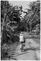 Bicyclist on rural road surrounded by banana and coconut trees. Ben Tre, Vietnam ( black and white)