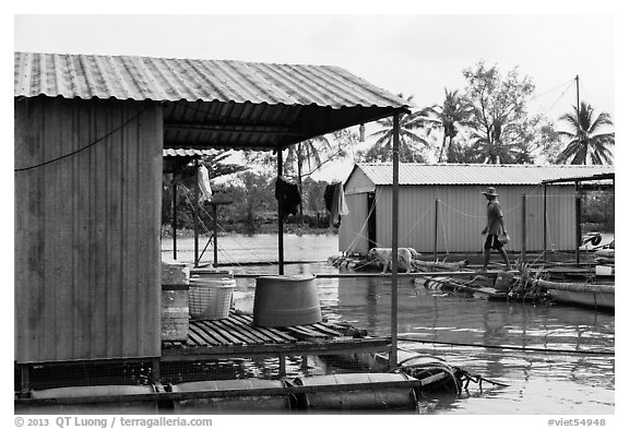 Man and dog walking across houseboats. My Tho, Vietnam