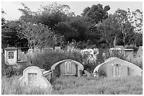 Tombs. Tra Vinh, Vietnam ( black and white)