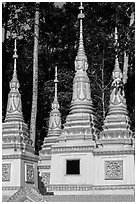 Stupas, Ang Pagoda. Tra Vinh, Vietnam (black and white)