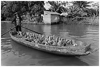 Woman paddling sampan loaded with bananas. Can Tho, Vietnam (black and white)