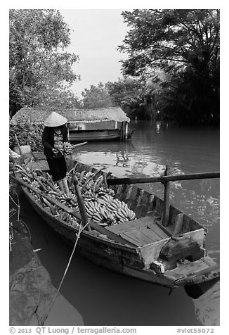 Woman unloading bananas from boat. Can Tho, Vietnam (black and white)