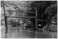 Woman crossing monkey bridge. Can Tho, Vietnam (black and white)