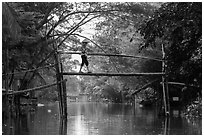 Villager crossing monkey bridge. Can Tho, Vietnam (black and white)