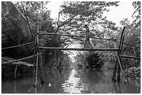 Woman traversing monkey bridge. Can Tho, Vietnam (black and white)