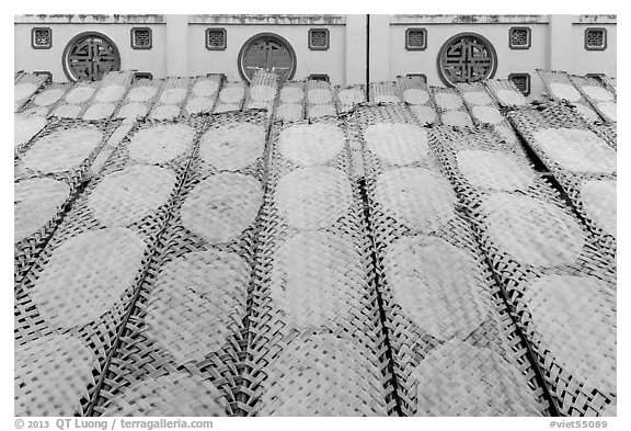 Rice paper wrappers being dried. Can Tho, Vietnam