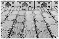 Rice paper wrappers being dried. Can Tho, Vietnam ( black and white)