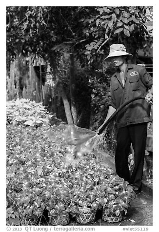 Worker watering flowers. Sa Dec, Vietnam (black and white)