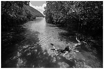 Children swim in mangrove forest, Bay Canh Island, Con Dao National Park. Con Dao Islands, Vietnam ( black and white)