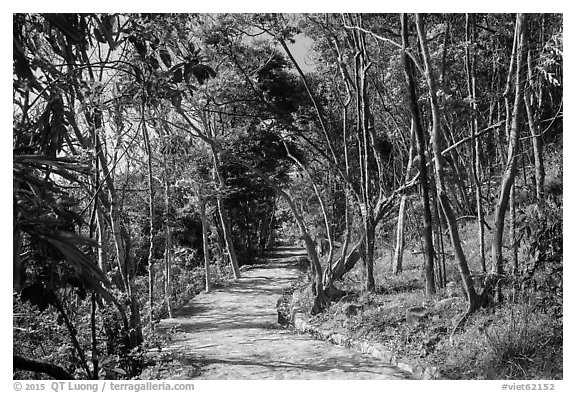 Trail, Bay Canh Island, Con Dao National Park. Con Dao Islands, Vietnam (black and white)