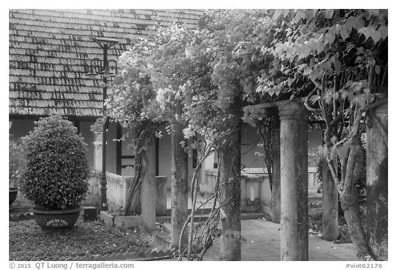 Flowers and house, Con Son. Con Dao Islands, Vietnam (black and white)