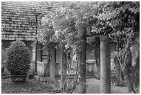 Flowers and house, Con Son. Con Dao Islands, Vietnam ( black and white)