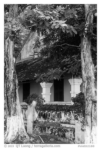 Tropical trees and historic house, Con Son. Con Dao Islands, Vietnam (black and white)