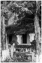 Tropical trees and historic house, Con Son. Con Dao Islands, Vietnam ( black and white)