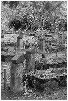 Unmarked graves, Hang Duong memorial cemetery. Con Dao Islands, Vietnam ( black and white)