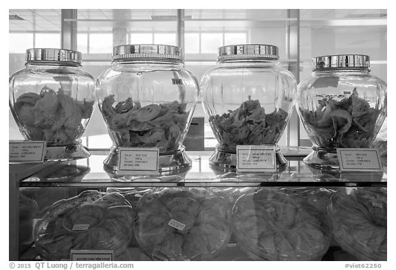 Jars of eddible birds nest. Con Dao Islands, Vietnam (black and white)