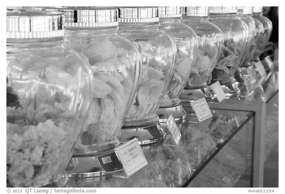 Row of eddible birds nest jars from local cliffs. Con Dao Islands, Vietnam (black and white)