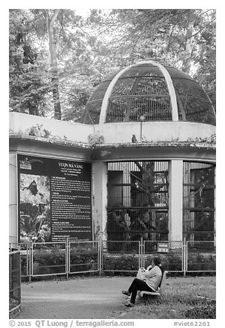 Monkeys inside and outside monkey exhibit, Saigon zoon. Ho Chi Minh City, Vietnam (black and white)