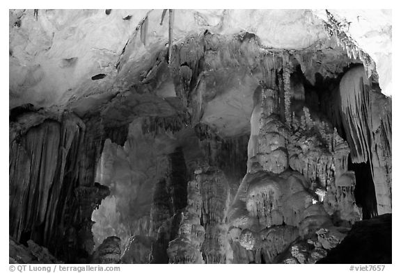Illuminated cave formations, upper cave, Phong Nha Cave. Vietnam (black and white)