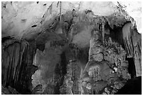 Illuminated cave formations, upper cave, Phong Nha Cave. Vietnam (black and white)