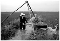 Woman doing irrigation work in a rice field. Vietnam (black and white)