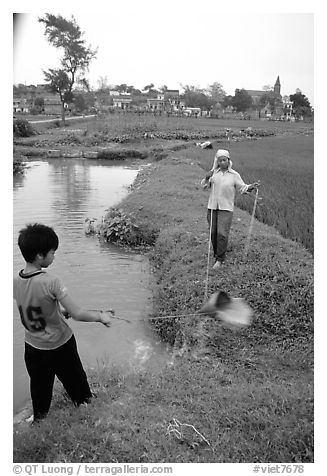 Field irrigation with a swinging bucket. Vietnam (black and white)