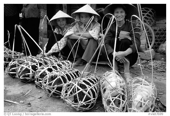 Live pigs all packed for sale, That Khe market. Northest Vietnam (black and white)