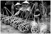 Live pigs all packed for sale, That Khe market. Northest Vietnam ( black and white)