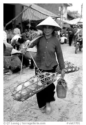 Woman carrying two live pigs, That Khe market. Northest Vietnam (black and white)