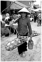 Woman carrying two live pigs, That Khe market. Northest Vietnam ( black and white)