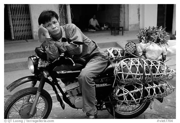 Man on a Russian-made Minsk loaded with live pigs. Northest Vietnam