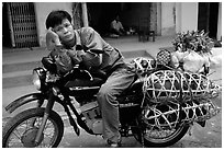 Man on a Russian-made Minsk loaded with live pigs. Northest Vietnam (black and white)