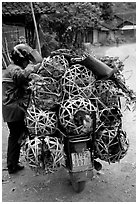 Motorcyclist loaded with live poultry. Northest Vietnam ( black and white)