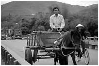 Horse carriage, Cao Bang. Northeast Vietnam (black and white)