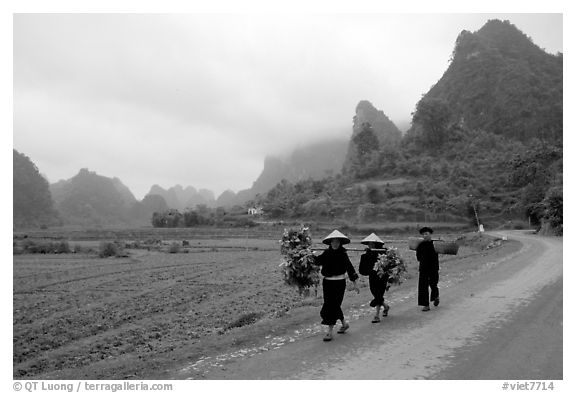 Villagers walking down the road with limestone peaks in the background, Ma Phuoc Pass area. Northeast Vietnam (black and white)