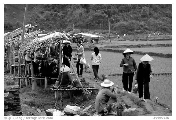 Market set on a dyke amongst rice fields near Ba Be Lake. Northeast Vietnam