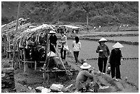 Market set on a dyke amongst rice fields near Ba Be Lake. Northeast Vietnam (black and white)