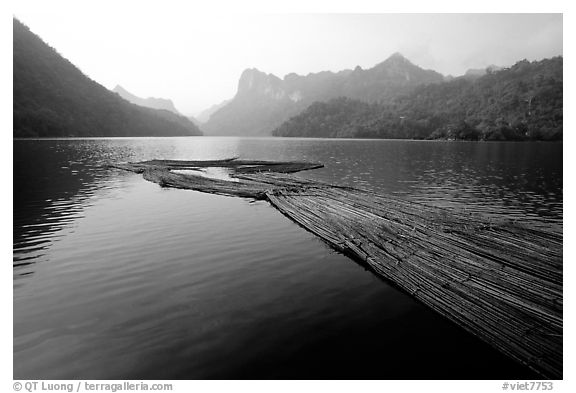 Wood being floated on Ba Be Lake. Northeast Vietnam (black and white)