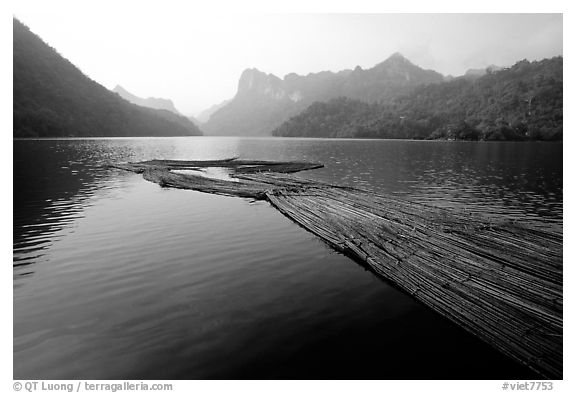 Wood being floated on Ba Be Lake. Northeast Vietnam (black and white)