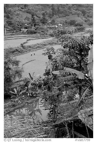 Rice fields near Cho Ra. Northeast Vietnam (black and white)